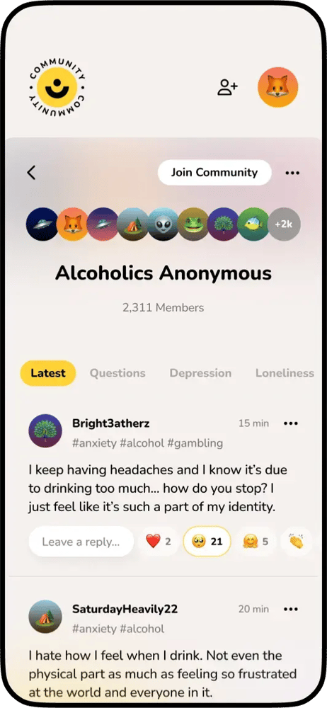 Community screenshot 2